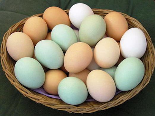 האם ביצים מזיקות?