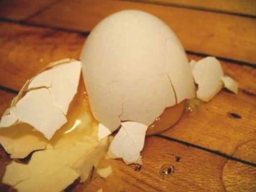 איך נראים הביצים השבורות?
