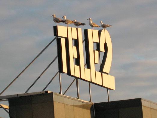כיצד לגלות תעריף Tele2?
