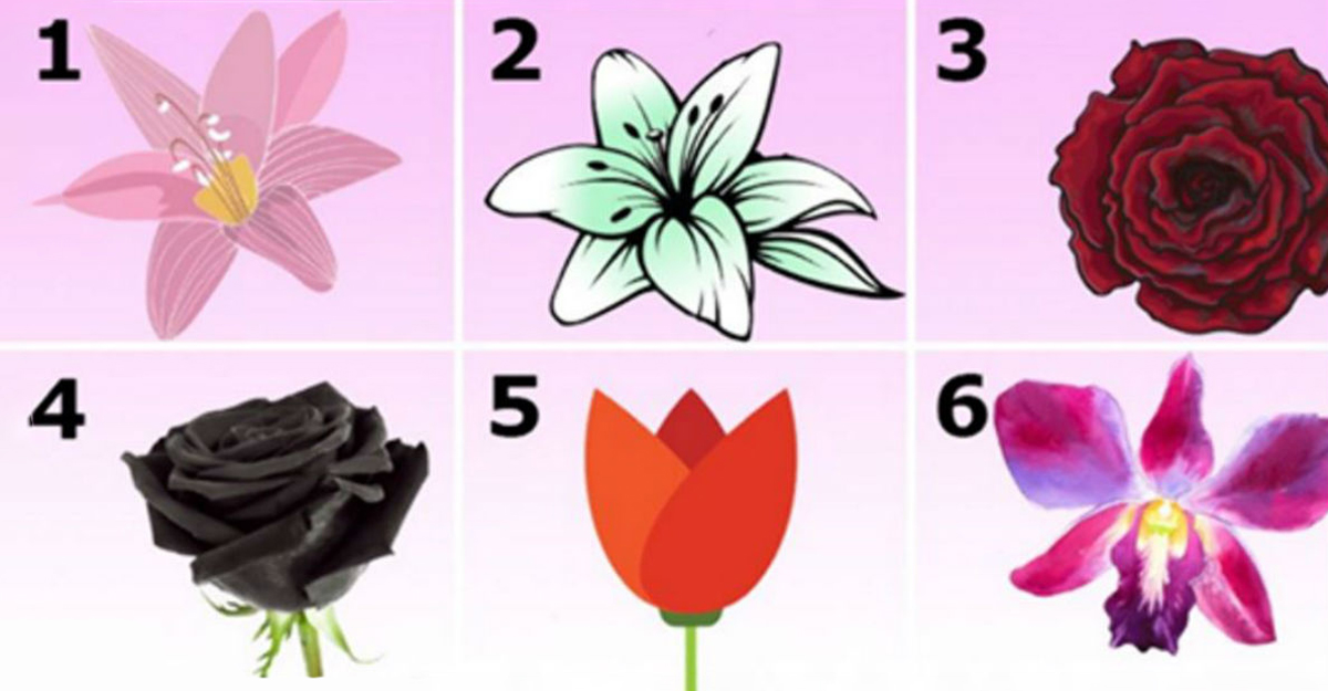 בחר את הפרח שאתה אוהב וללמוד את הסודות הסודיים של האישיות שלך