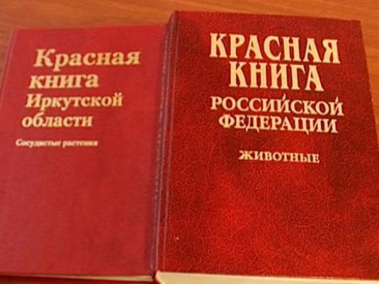 מהו הספר האדום?
